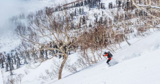 Evergreen Backcountry Guides Japan